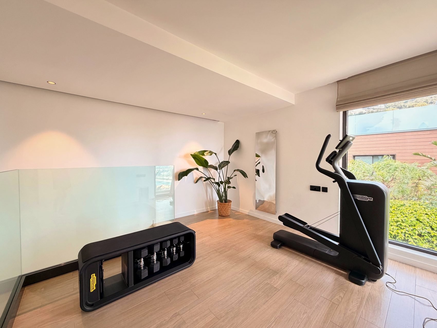 Elliptical trainer and free weights by the garden window